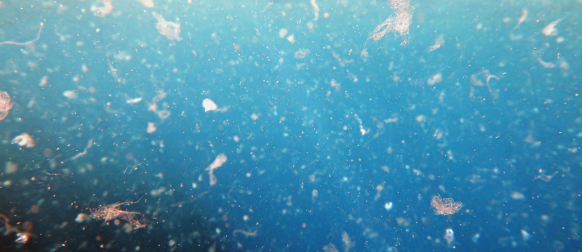 mikroplast i hav